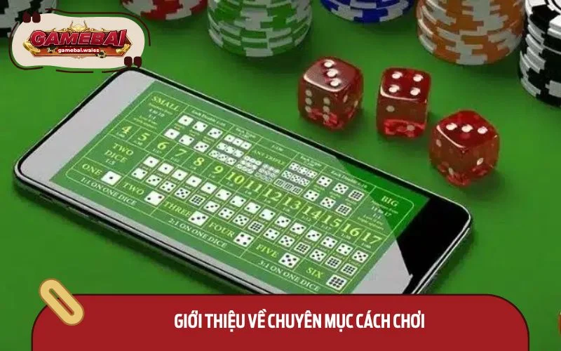 Mục Cách chơi giúp bet thủ tự tin hơn khi tham gia cá cược