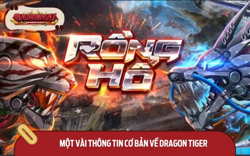Một vài thông tin cơ bản về Dragon Tiger